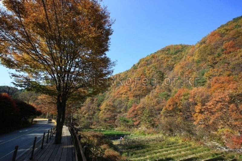 雉岳山國立公園 (39/43)