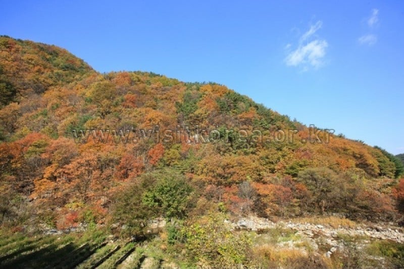雉岳山國立公園 (40/43)