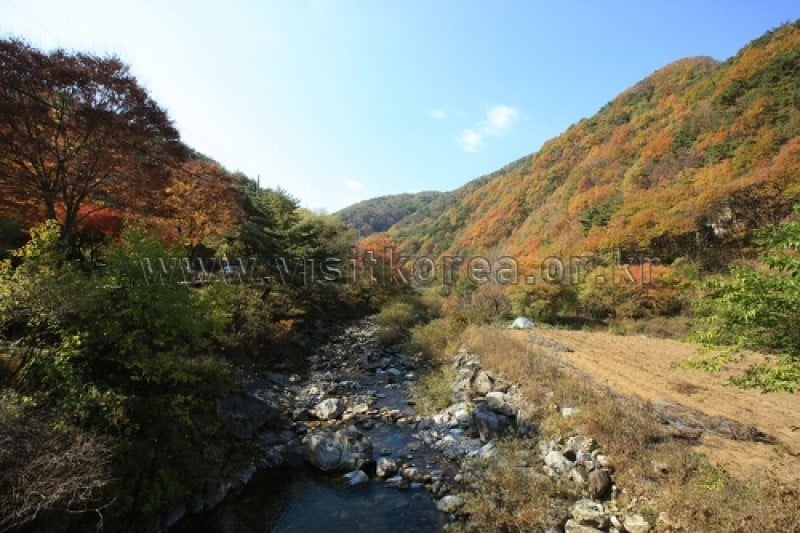 雉岳山國立公園 (41/43)