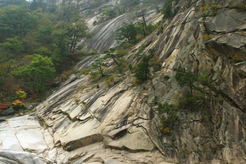 飛仙台