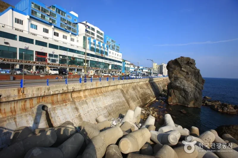 墨湖燈塔 (19/24)
