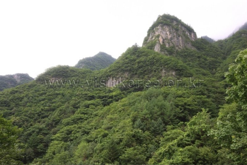 德項山 (2/13)