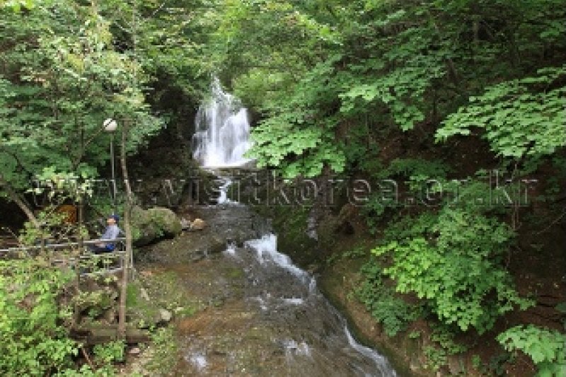德項山 (3/13)
