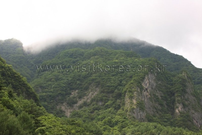 德項山 (6/13)