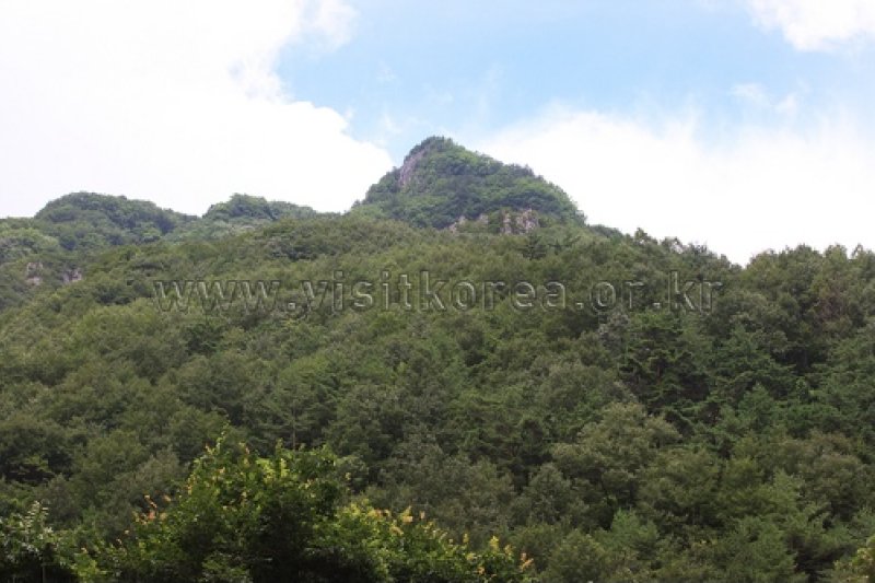 德項山 (7/13)