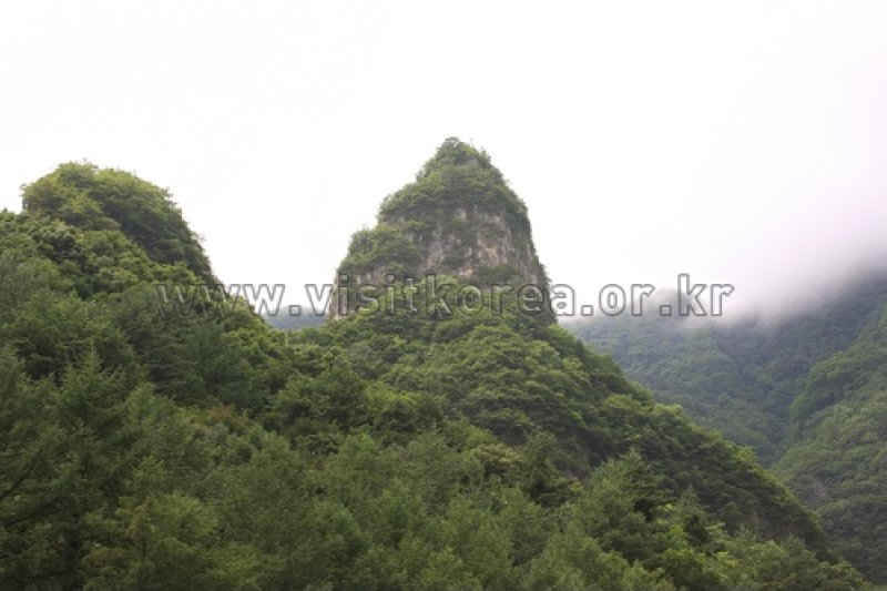 德項山 (8/13)