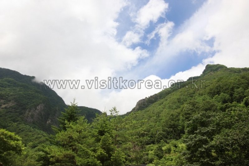 德項山 (11/13)