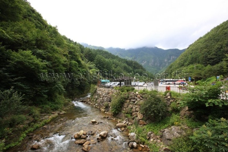 德項山 (13/13)