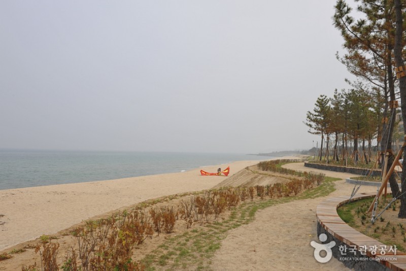 南項津海邊