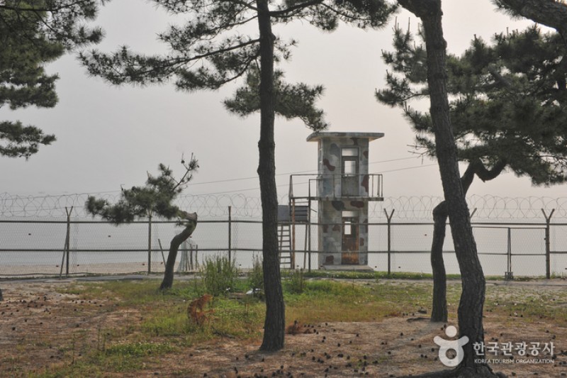 沙川海邊