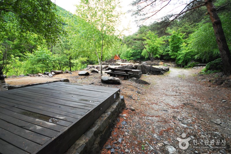 國立加里旺山自然休養林 (17/20)