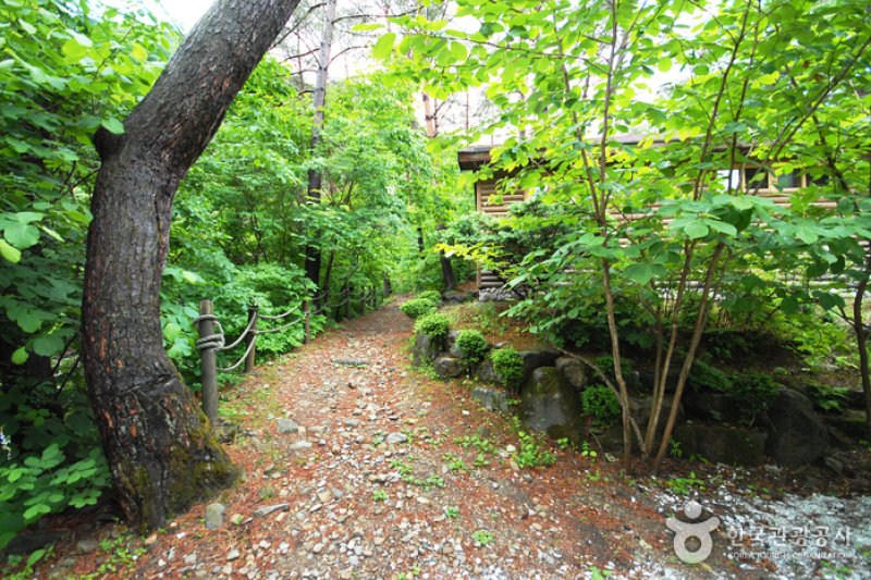 國立加里旺山自然休養林 (18/20)