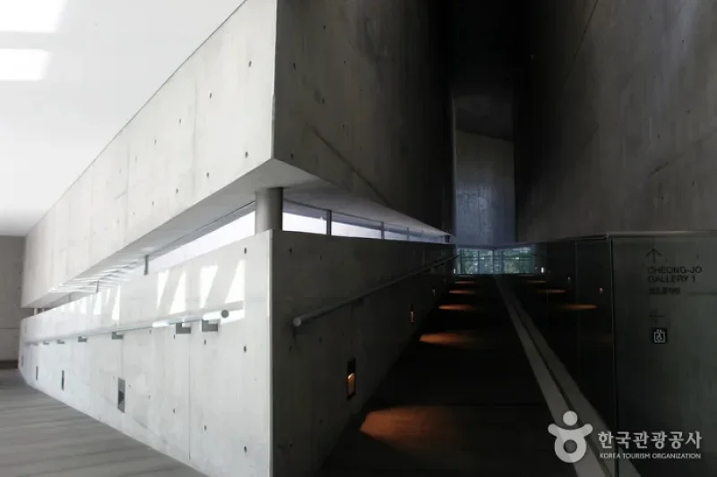 MUSEUM SAN (11/31)