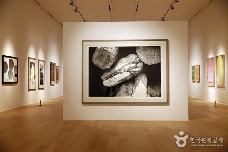 MUSEUM SAN (18/31)