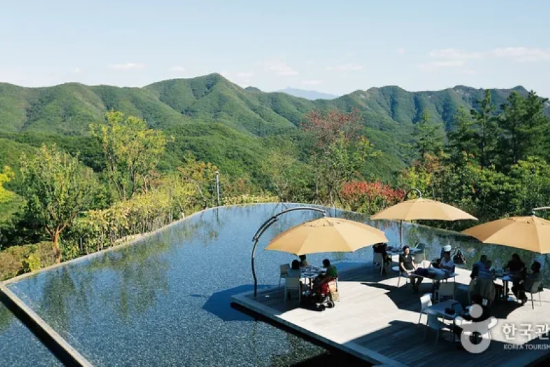 MUSEUM SAN (28/31)