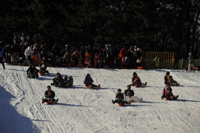 韓國民俗村雪橇場 (1/6)