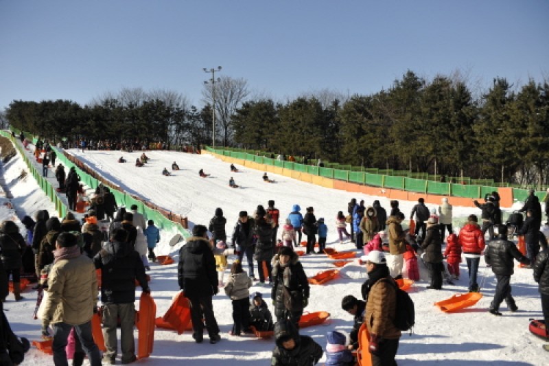 韓國民俗村雪橇場 (2/6)