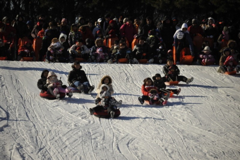 韓國民俗村雪橇場 (3/6)