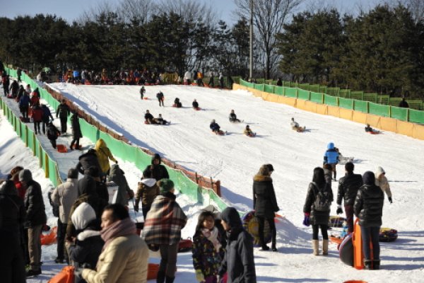 韓國民俗村雪橇場