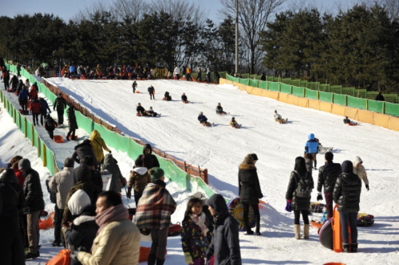 韓國民俗村雪橇場 (6/6)