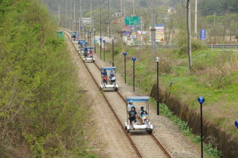 楊平鐵路自行車 (2/14)