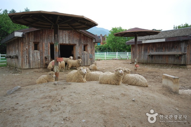 首爾大公園兒童動物園 (5/6)
