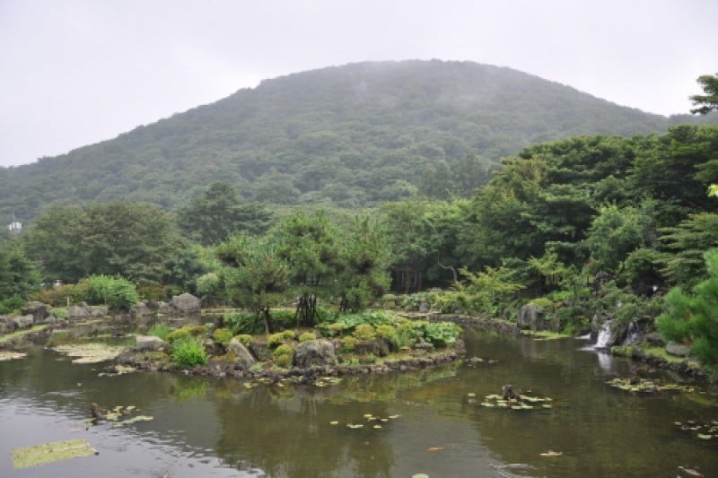 濟州寺水自然休養林