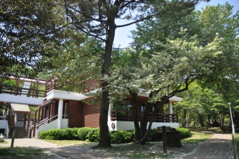 濟州寺水自然休養林