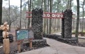 濟州寺水自然休養林