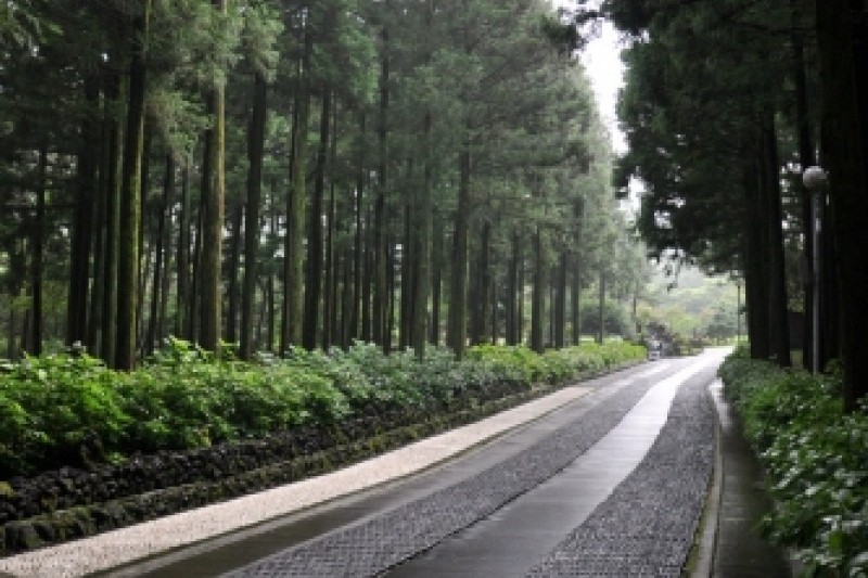 濟州寺水自然休養林