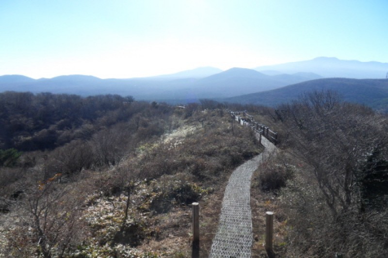 濟州寺水自然休養林