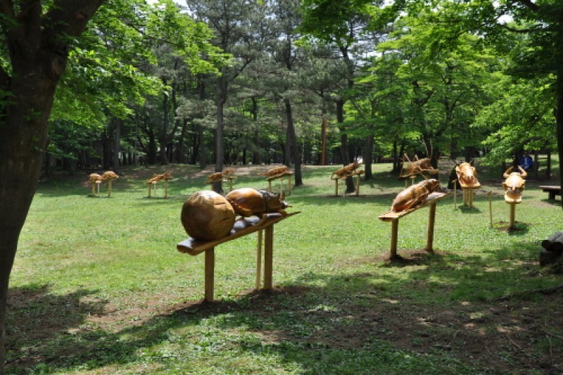 濟州寺水自然休養林