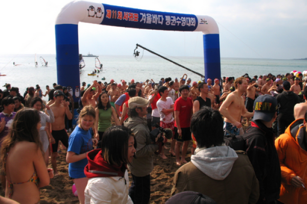 西歸浦企鵝冬泳大會