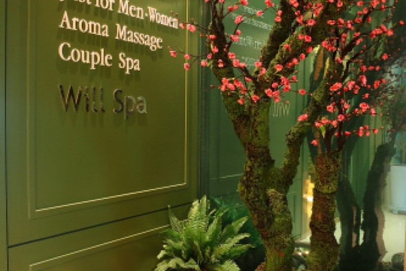 Will Spa (1/10)