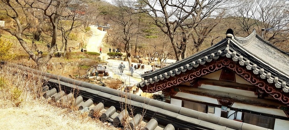 傳燈寺山寺體驗 (12/19)