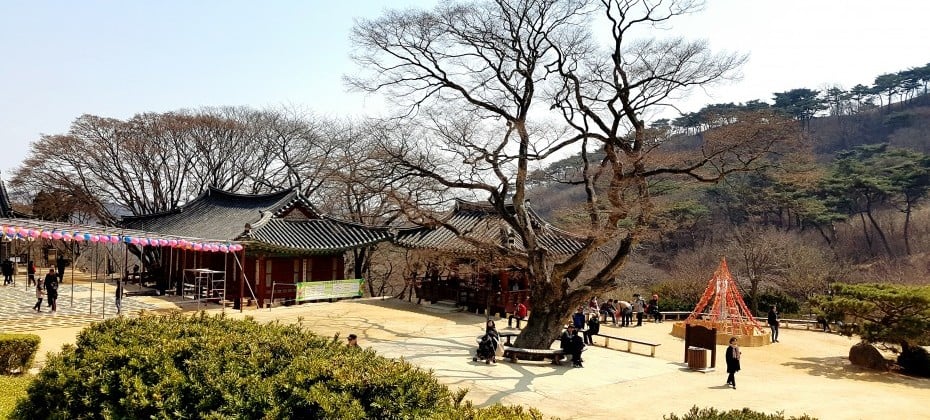 傳燈寺山寺體驗 (16/19)