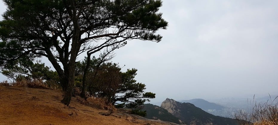 北漢山國立公園(首爾)(북한산국립공원(서울)) (13/48)