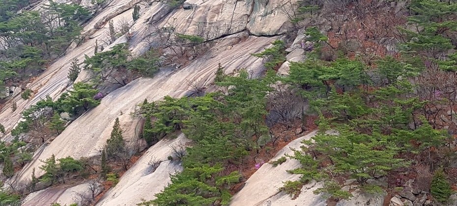 北漢山國立公園(首爾)(북한산국립공원(서울)) (18/48)