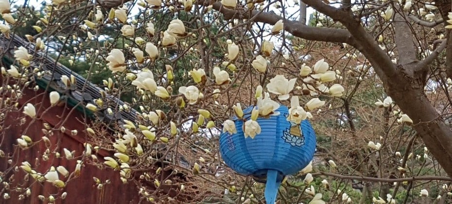 北漢山國立公園(首爾)(북한산국립공원(서울)) (23/48)