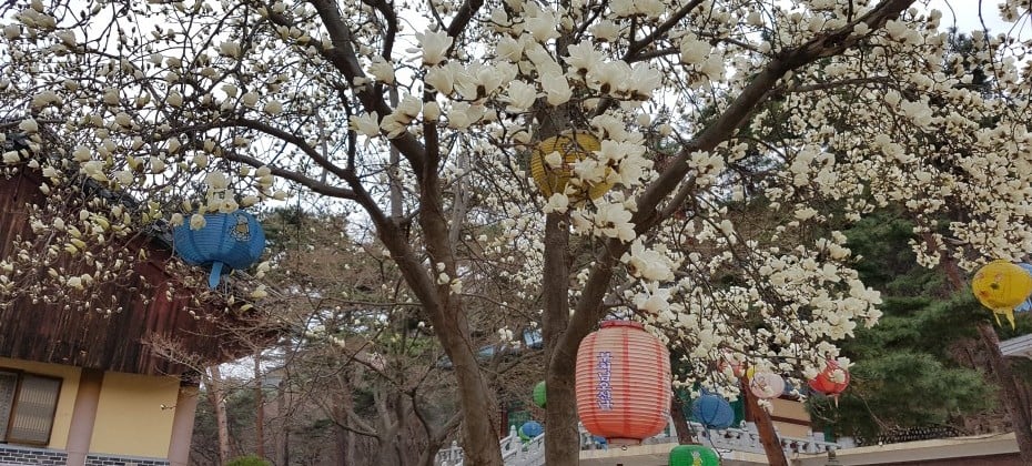 北漢山國立公園(首爾)(북한산국립공원(서울)) (28/48)