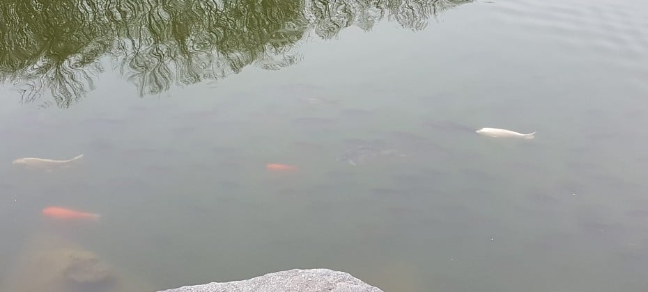 北漢山國立公園(首爾)(북한산국립공원(서울)) (30/48)