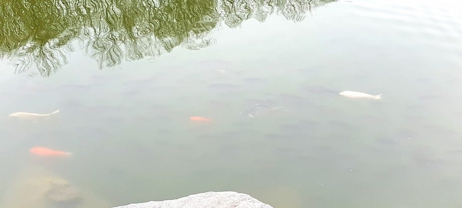 北漢山國立公園(首爾)(북한산국립공원(서울)) (34/48)