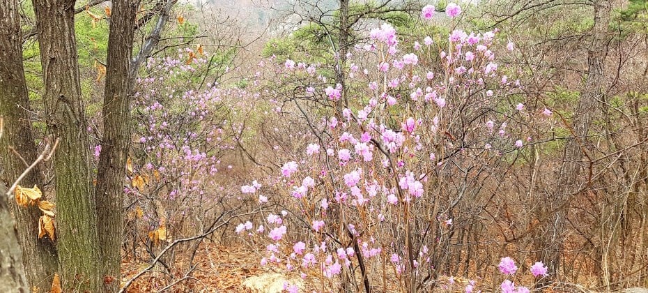 北漢山國立公園(首爾)(북한산국립공원(서울)) (36/48)