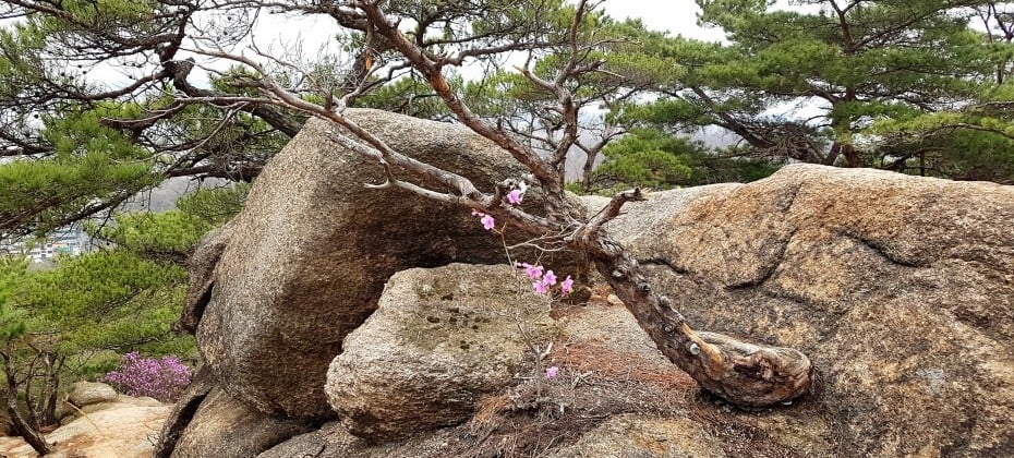 北漢山國立公園(首爾)(북한산국립공원(서울)) (37/48)