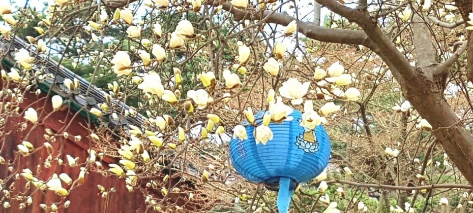 北漢山國立公園(首爾)(북한산국립공원(서울)) (39/48)