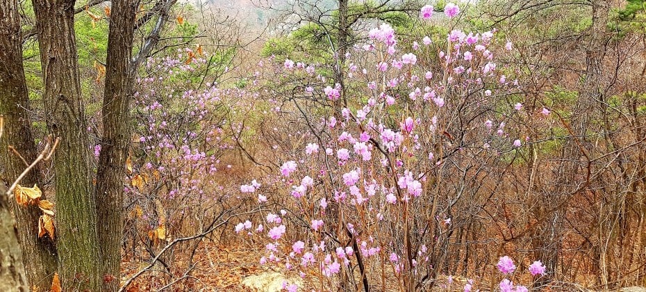 北漢山國立公園(首爾)(북한산국립공원(서울)) (44/48)