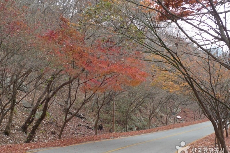 內藏山國立公園 (2/40)