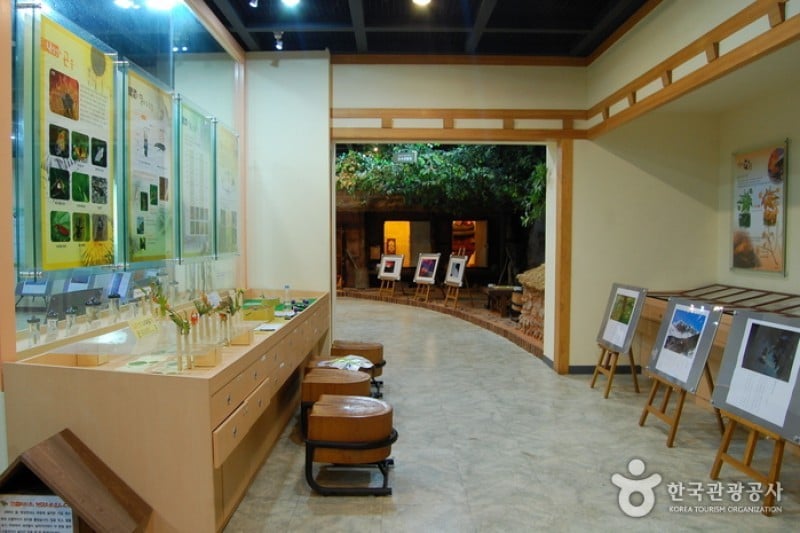 內藏山國立公園 (7/40)