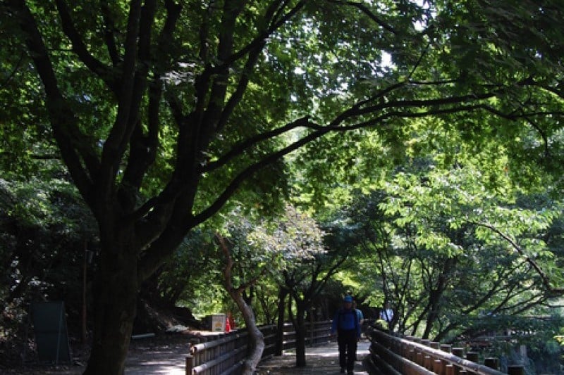 內藏山國立公園 (10/40)