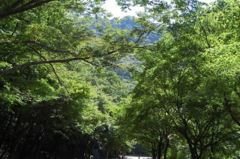 內藏山國立公園 (13/40)